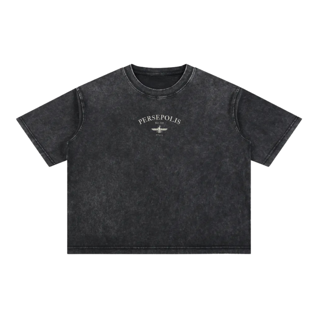 Persepolis Vintage Wash Oversized Tee - Black