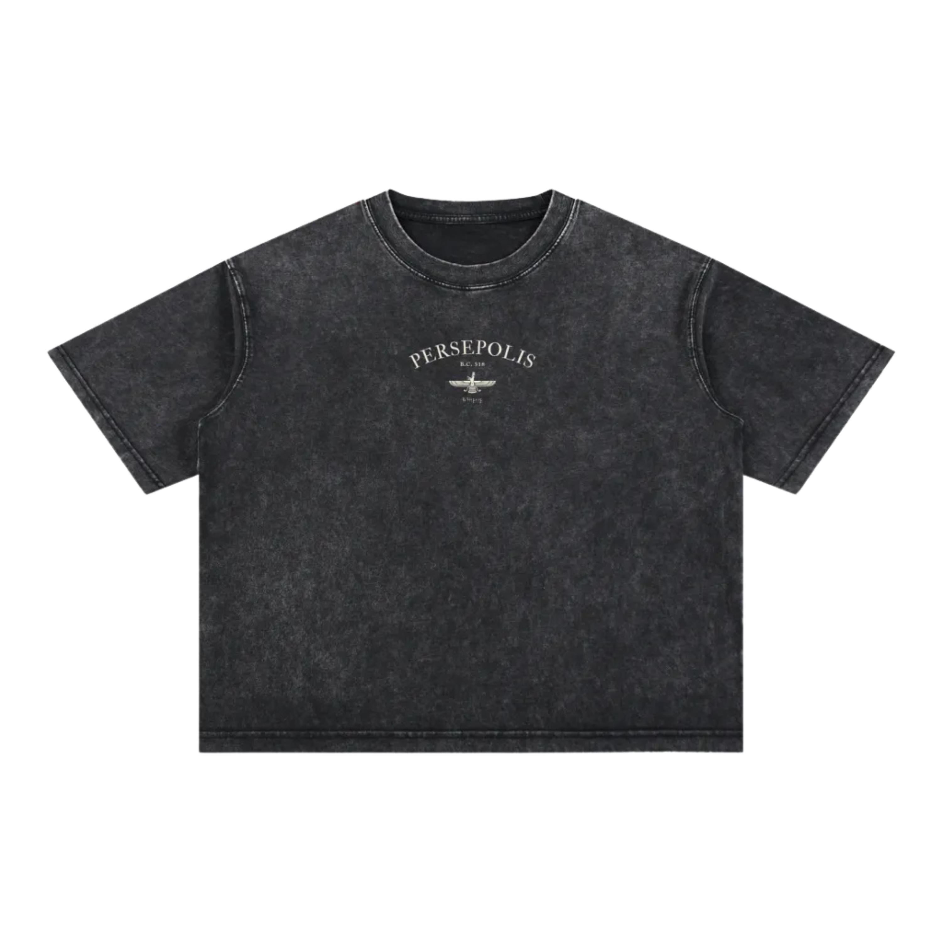 Persepolis Vintage Wash Oversized Tee - Black
