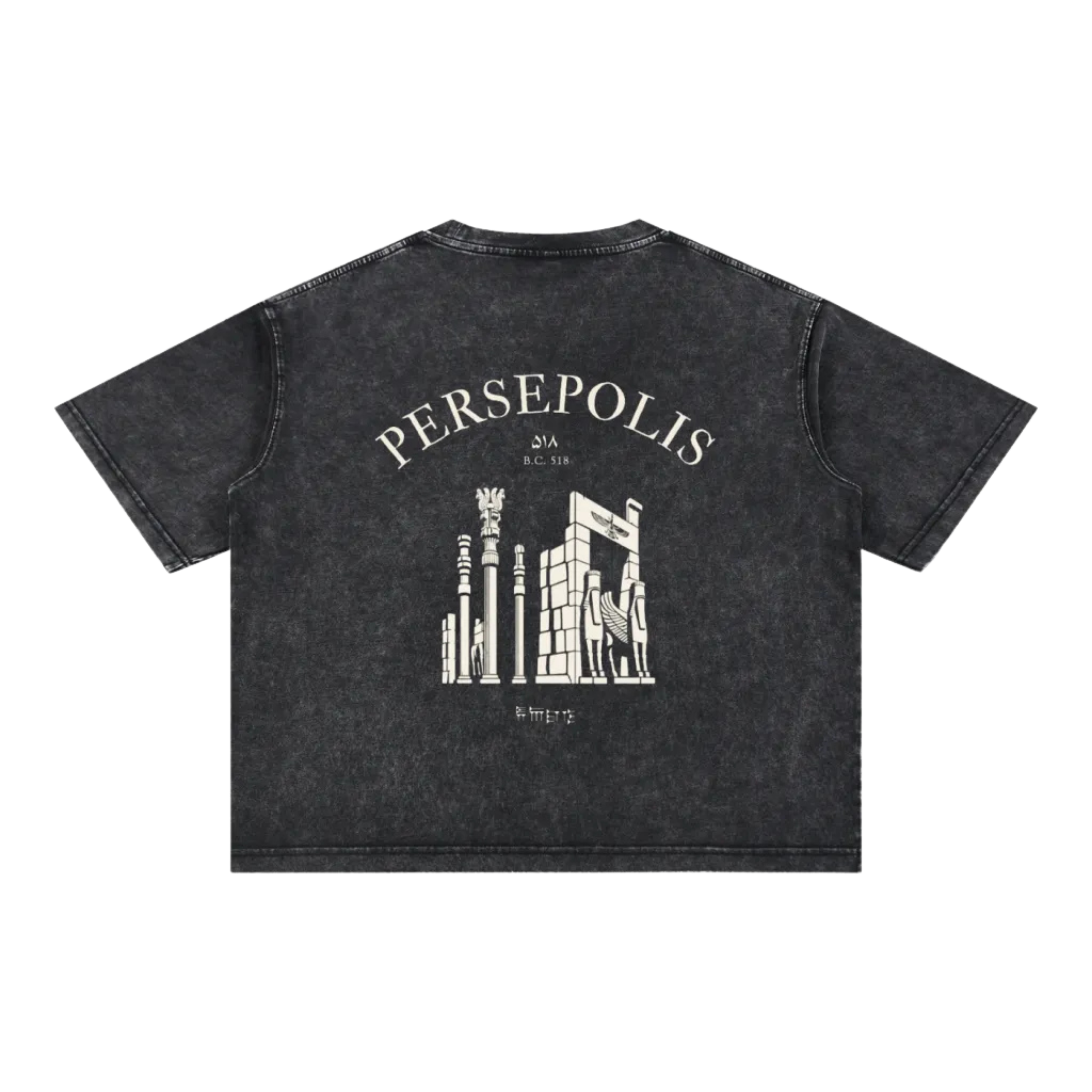 Persepolis Vintage Wash Oversized Tee - Black